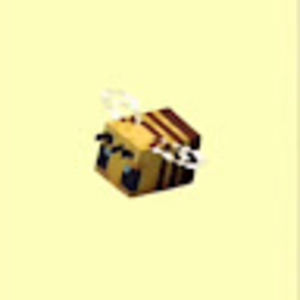 Meet your Posher, Maddie